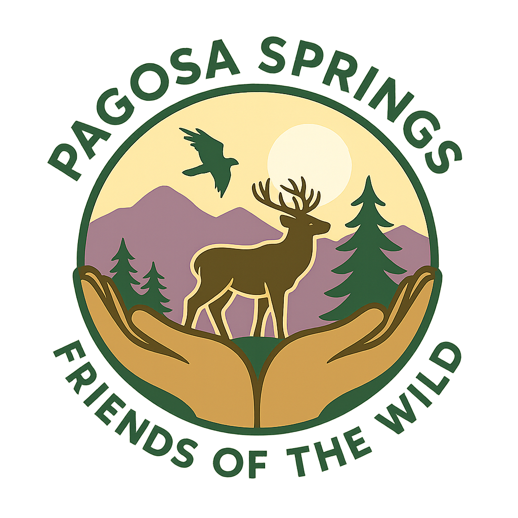 Emergency Resources — Pagosa Flood Relief